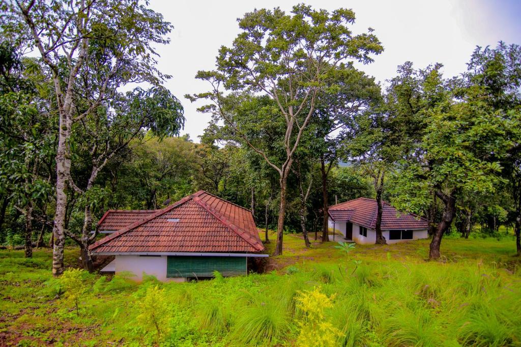 Aadhavana Homestay - Sakleshpur Māranhalli Exterior foto